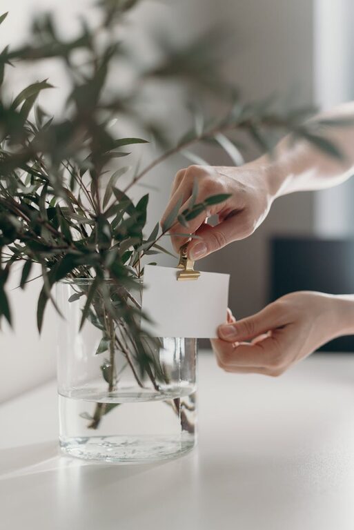 Easy Ways to Add Nature to Your Workspace for a Calmer Day